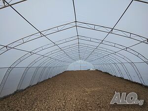 image_12