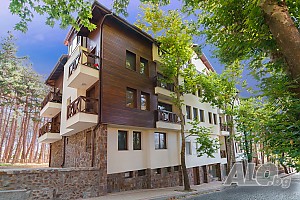 image_11