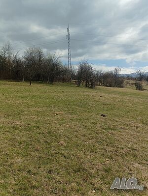 image_7