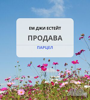 Земеделска земя - нива 2000 кв.м..