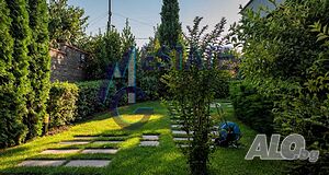 image_12