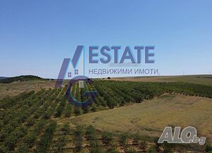 Бадемова градина 96дка с БИО сертификат