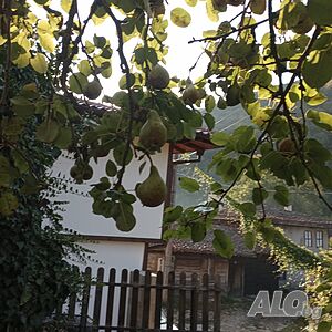 image_14