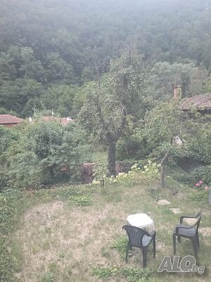 image_11