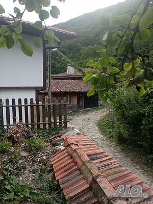 image_12