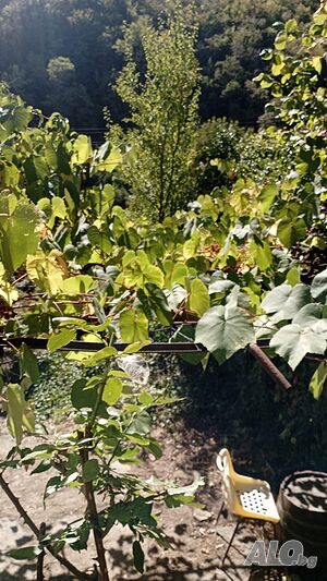 image_41