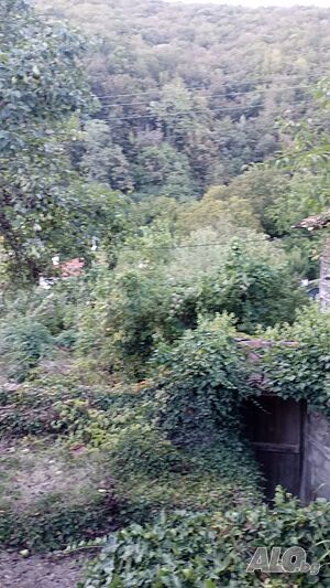 image_44