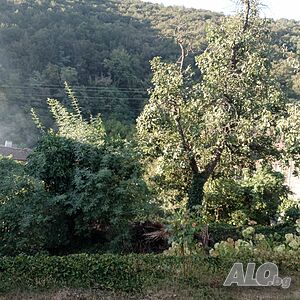 image_51
