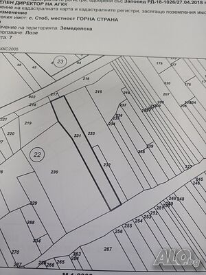 image_5