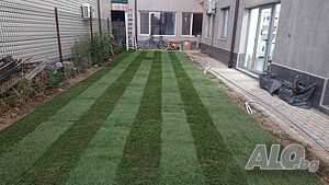 image_8