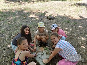 image_14
