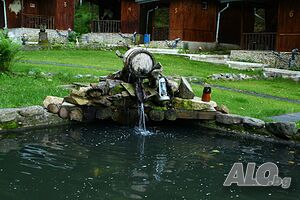 image_11