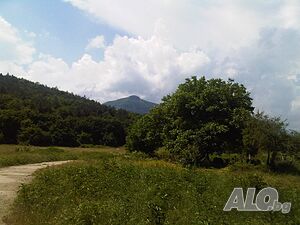 image_6