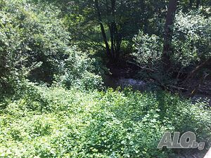image_7