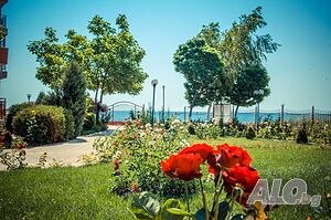 image_6