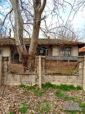 Имот с къща в с. Бабук, обл. Силистра