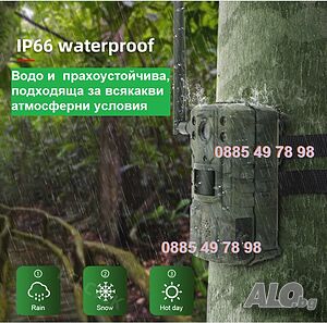 image_4