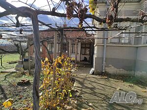 image_7