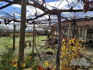 image_8