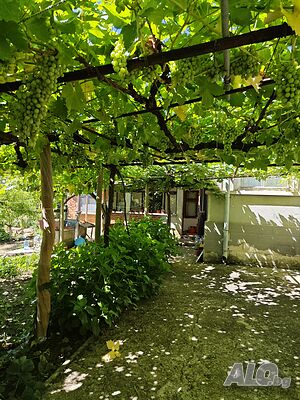 image_13
