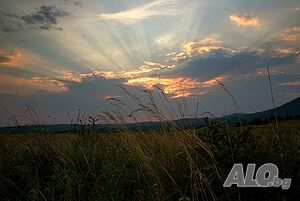 image_11
