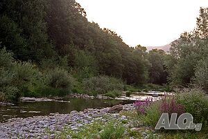 image_12