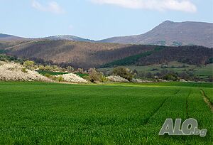 image_13