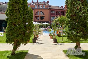 image_10