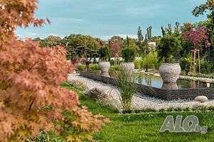 image_16