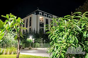 image_30