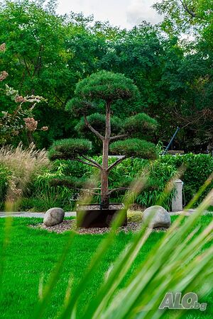 image_35