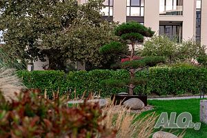 image_36