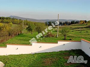image_9
