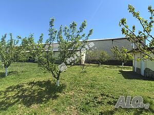 image_10