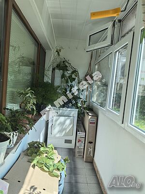 image_5