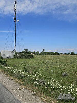 image_3