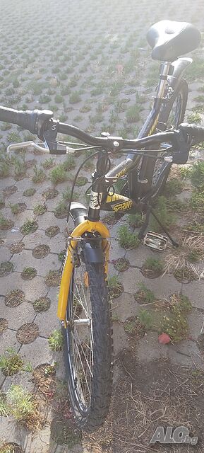 image_5