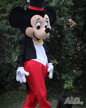 image_5