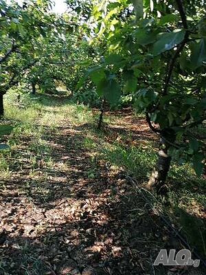 image_8