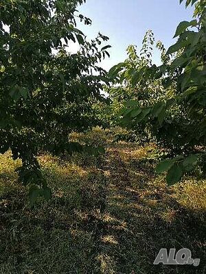 image_10
