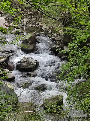 image_26