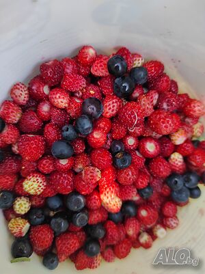 image_7