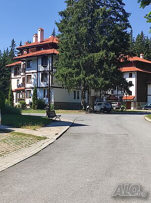 image_10