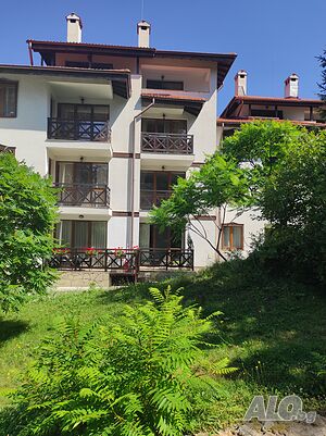 image_12