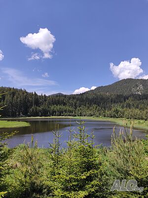 image_13