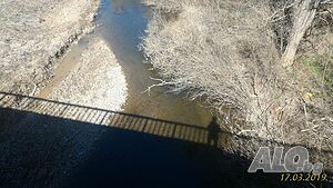 image_11
