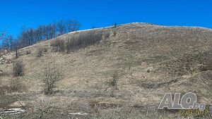 image_12
