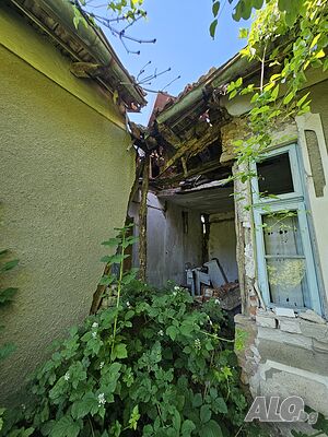 image_11