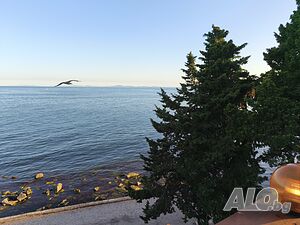 Търся приятна жена и коректност
