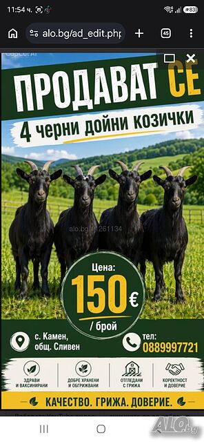 Продавам Козички
